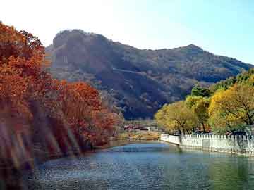 澳门天天免费精准大全，柴油市场价